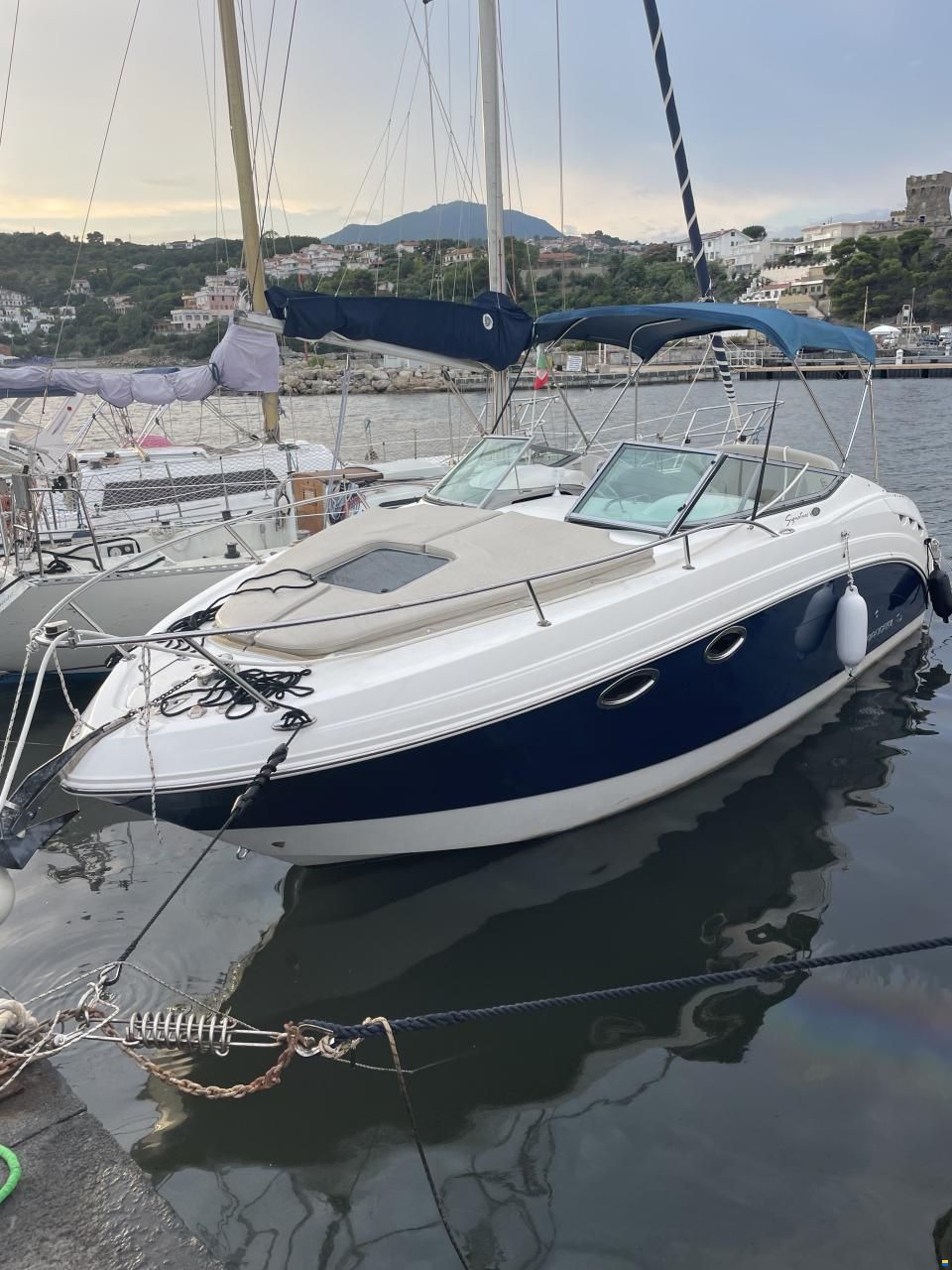 Chaparral Signature 250