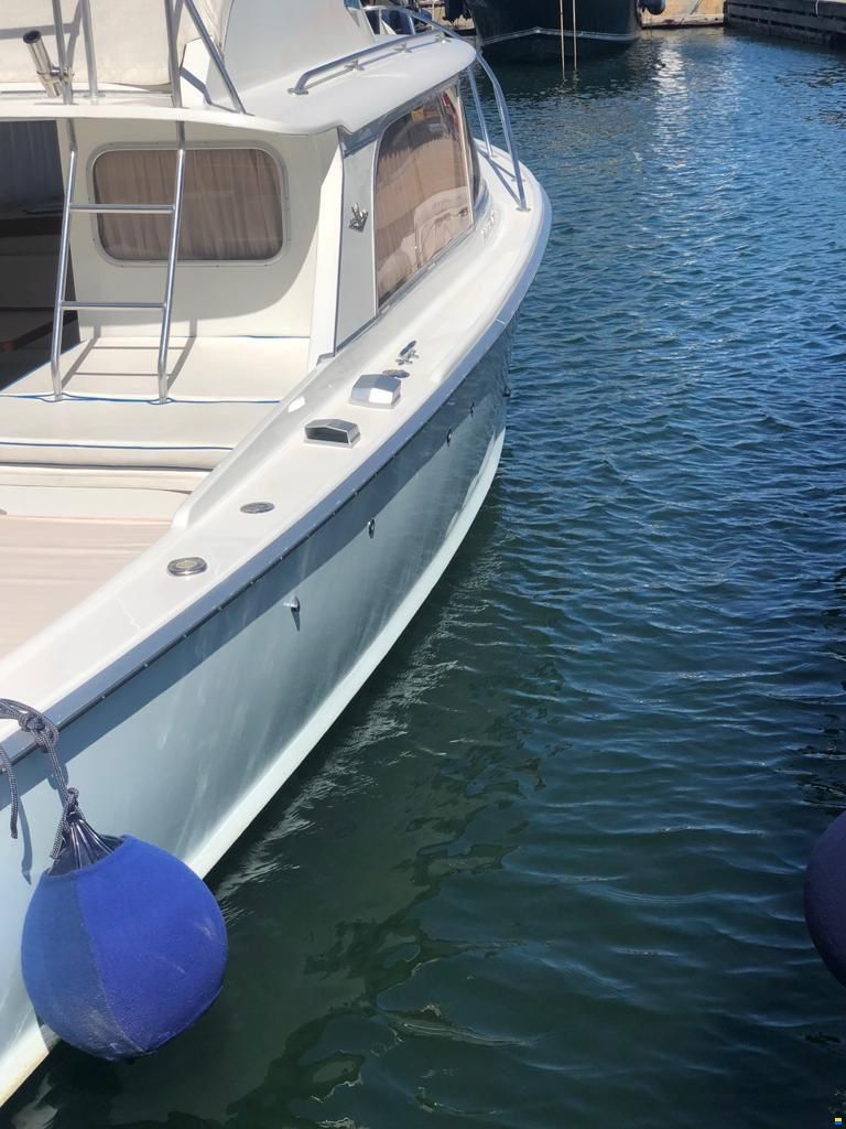 Bertram 31 SPECIAL EDITION