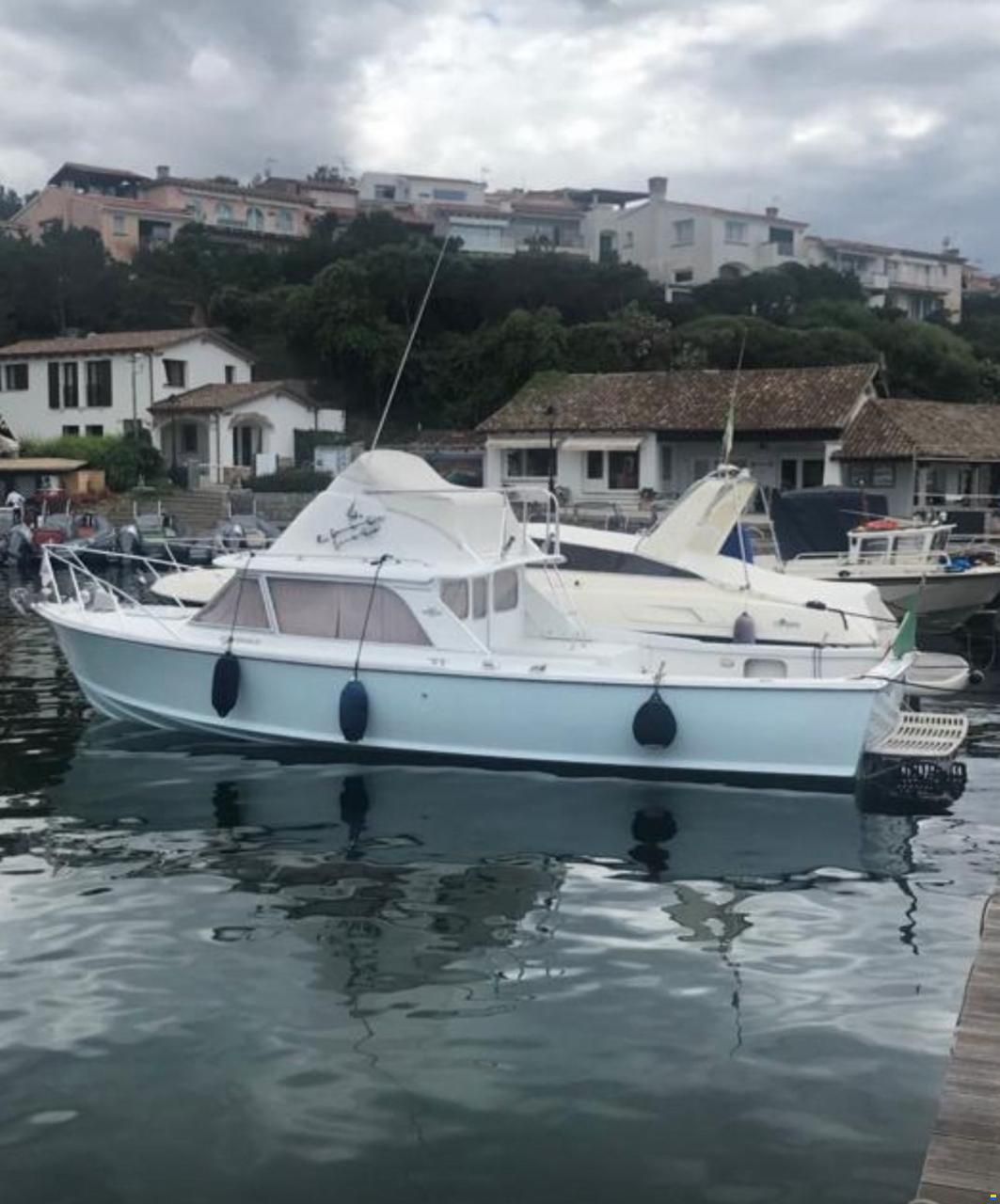 Bertram 31 SPECIAL EDITION