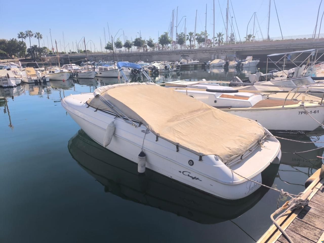 Chris Craft Concept 21