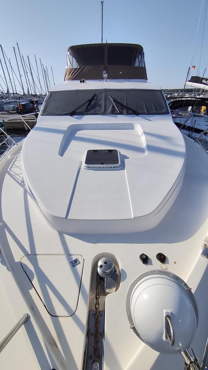 Majesty 56