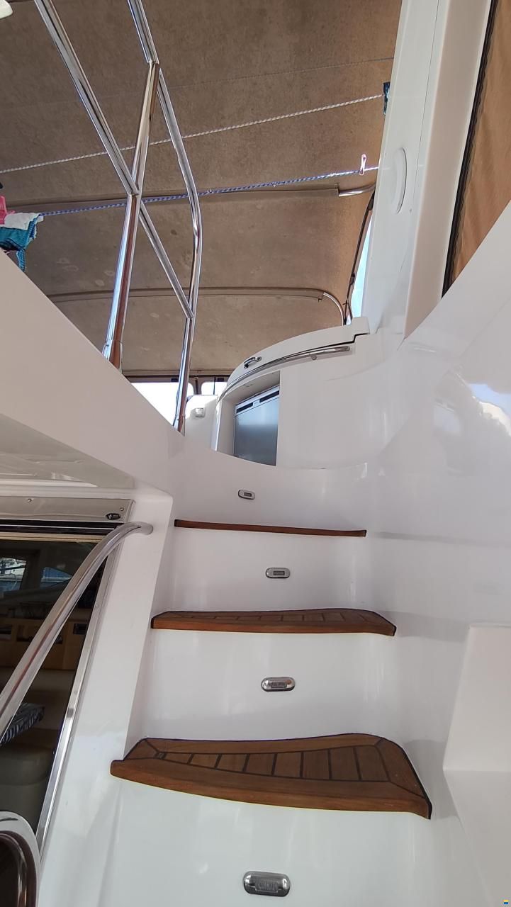 Majesty 56