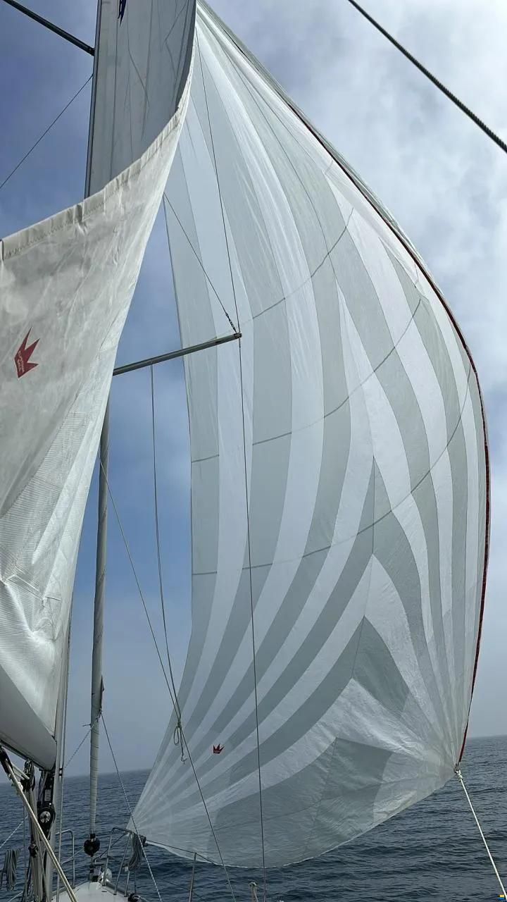 Bavaria Cruiser 37