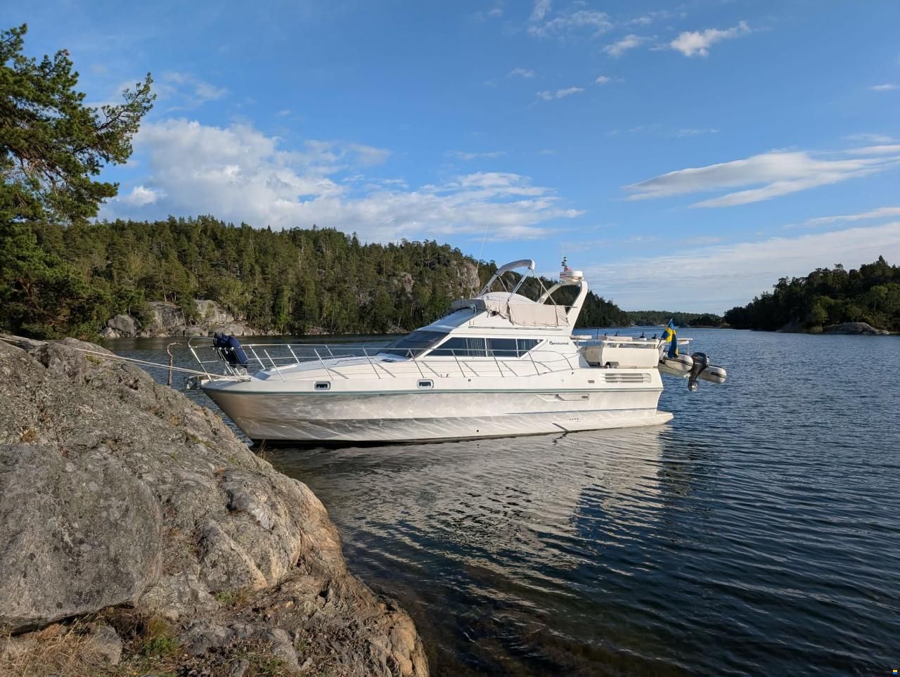 Birchwood Ts37 Fly