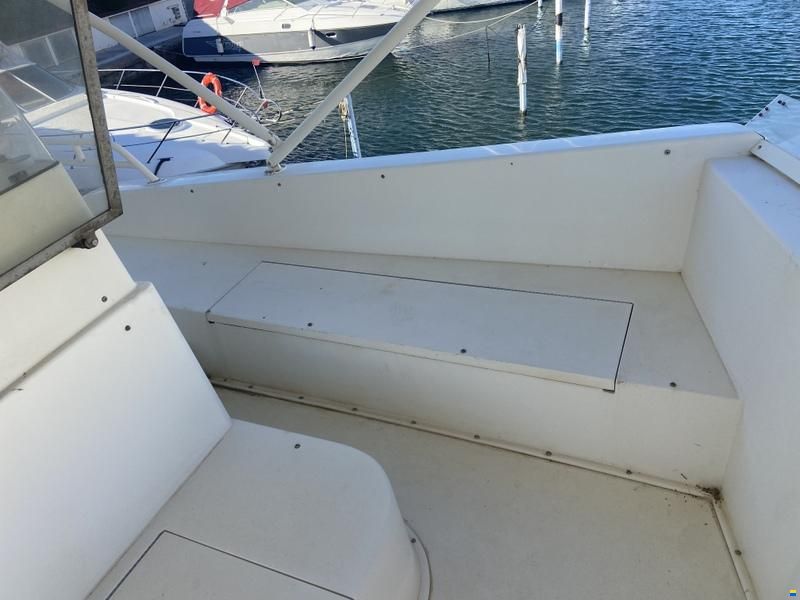 Viking 50