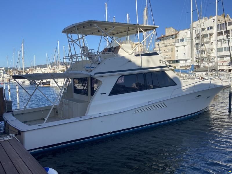 Viking 50