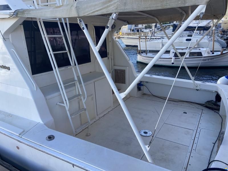 Viking 50