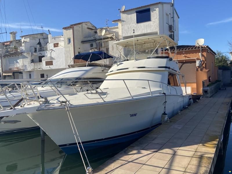 Viking 50