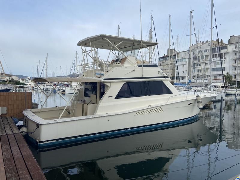 Viking 50