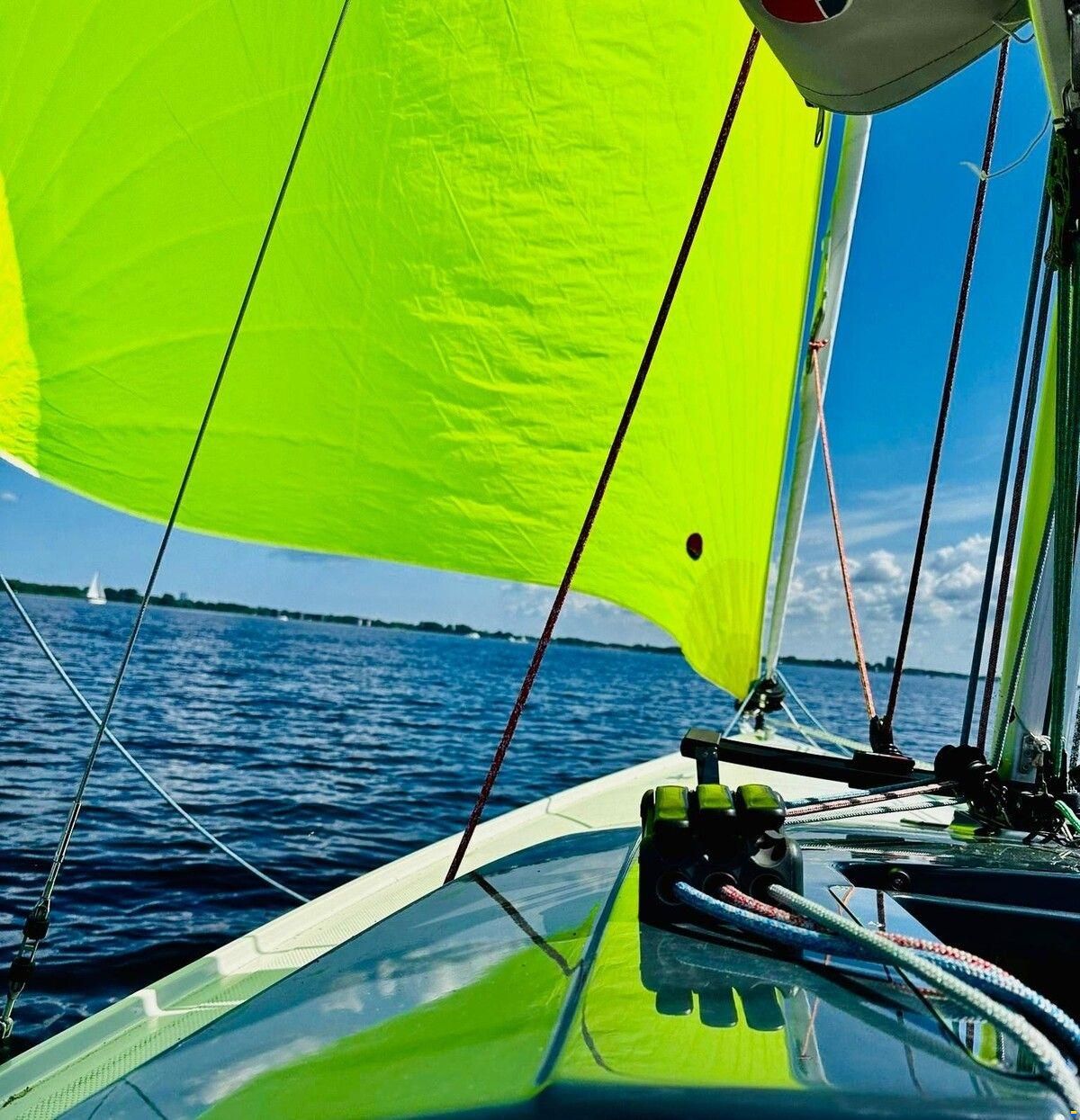 Pointer 22