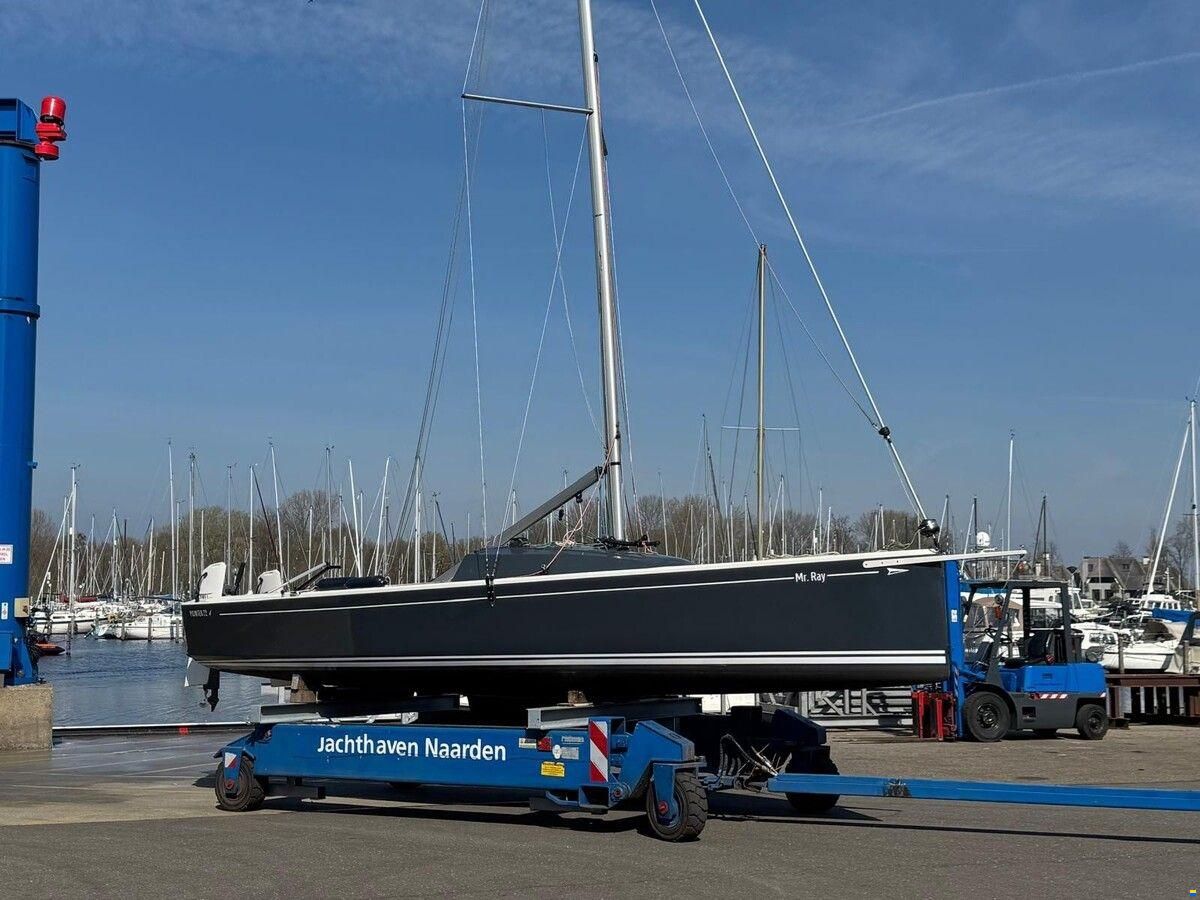Pointer 22