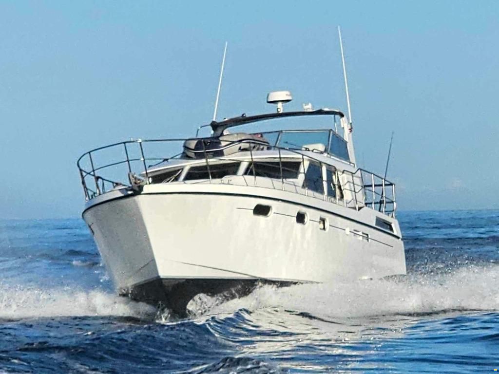 Fortuna 455