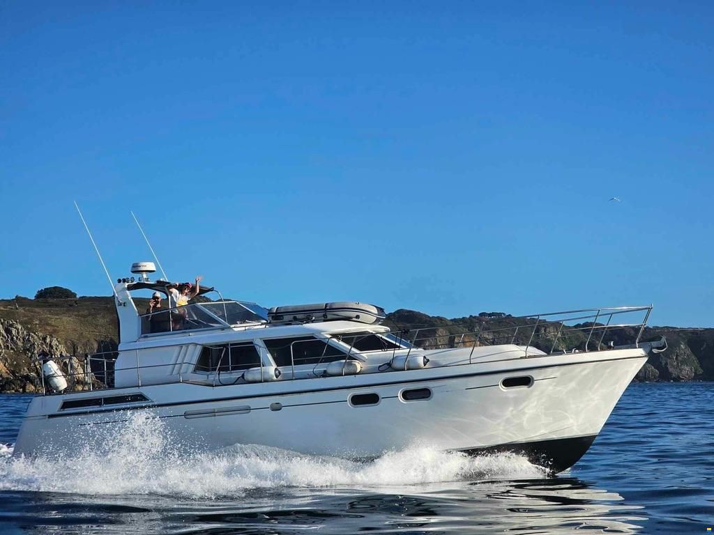 Fortuna 455