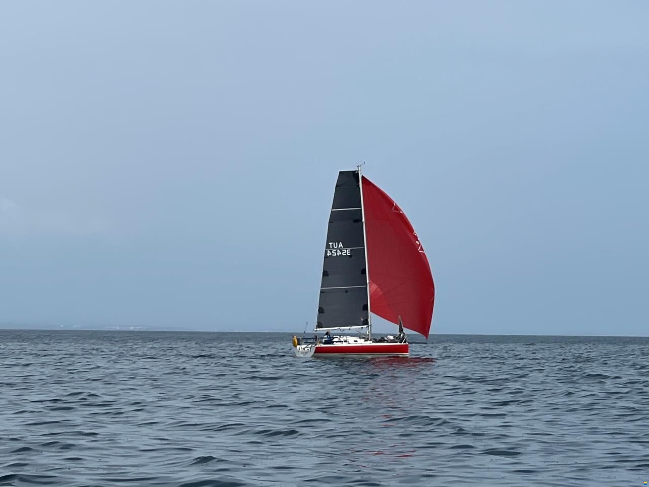 Pogo 850