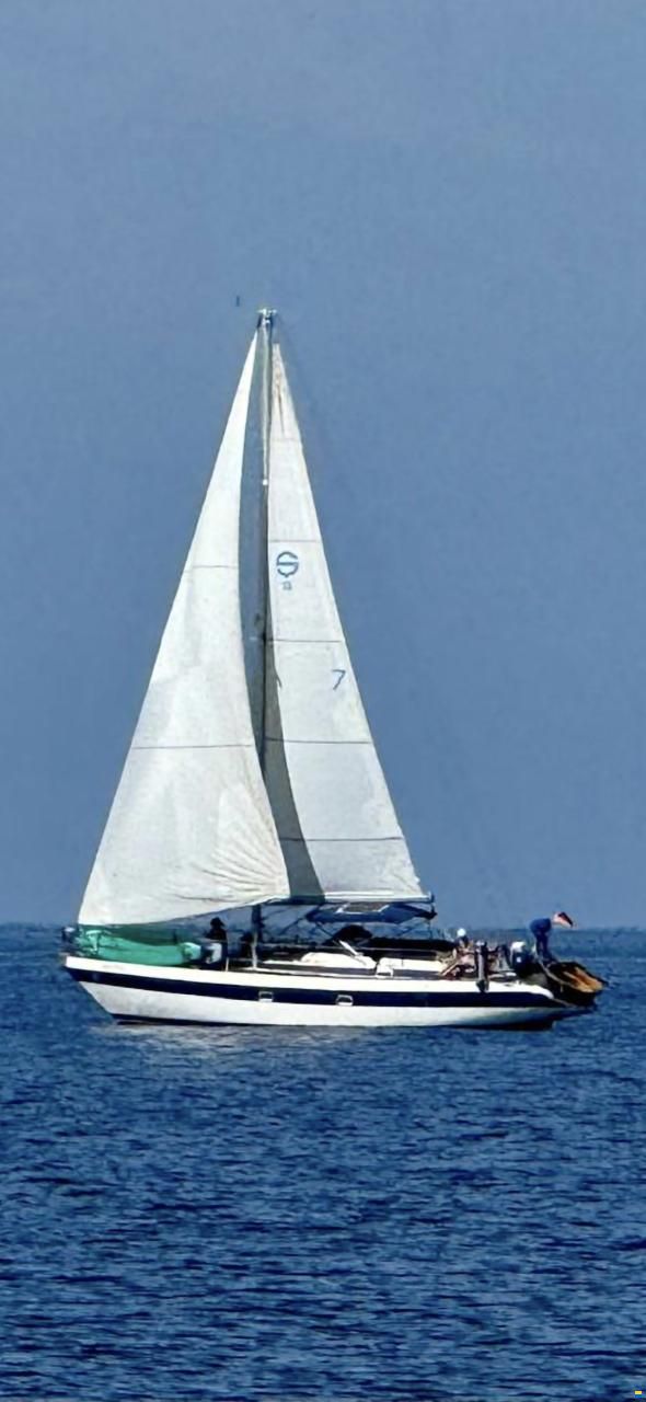 Schöchl Sunbeam 36 CC