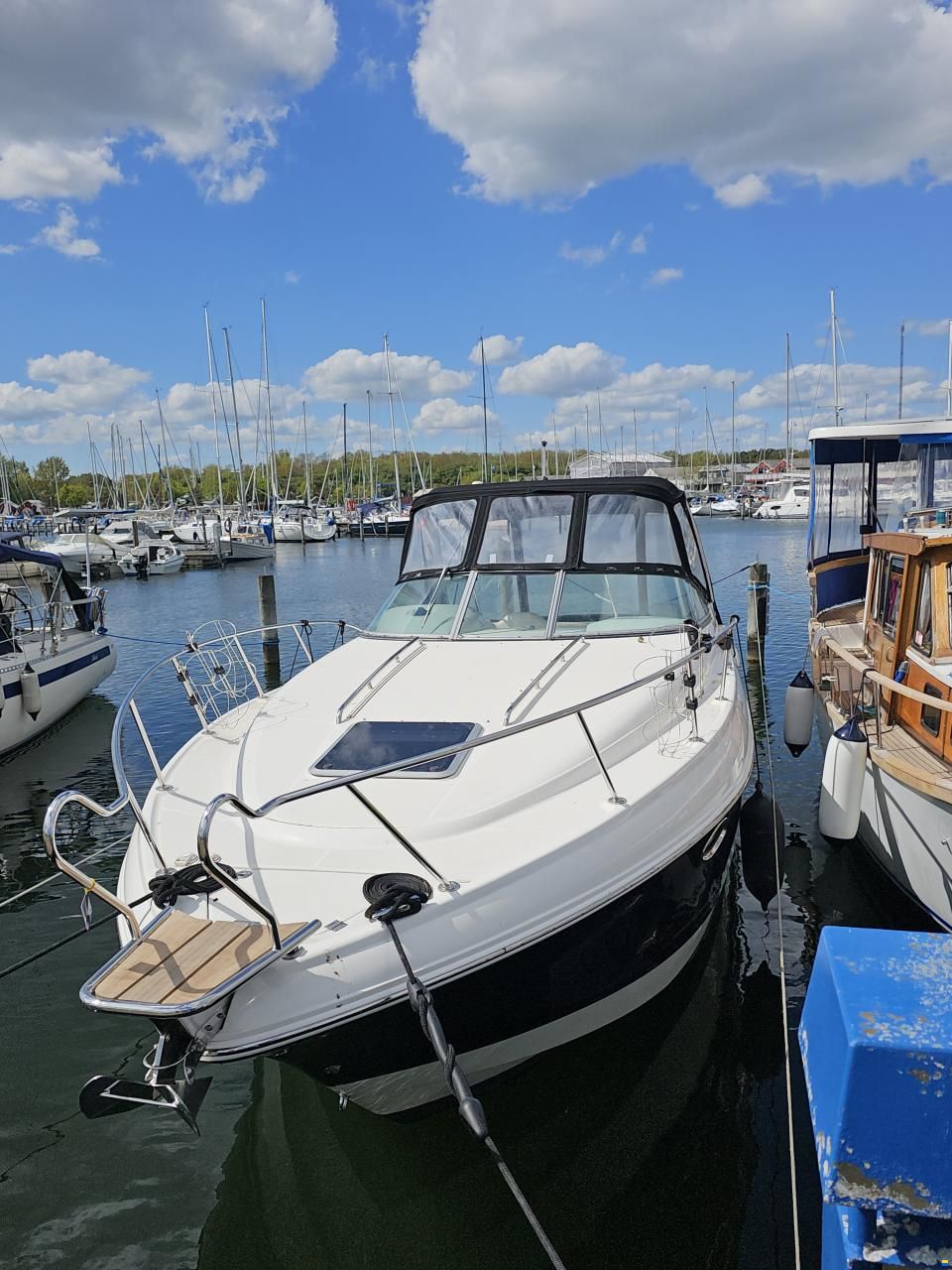 Chaparral 290 Signature