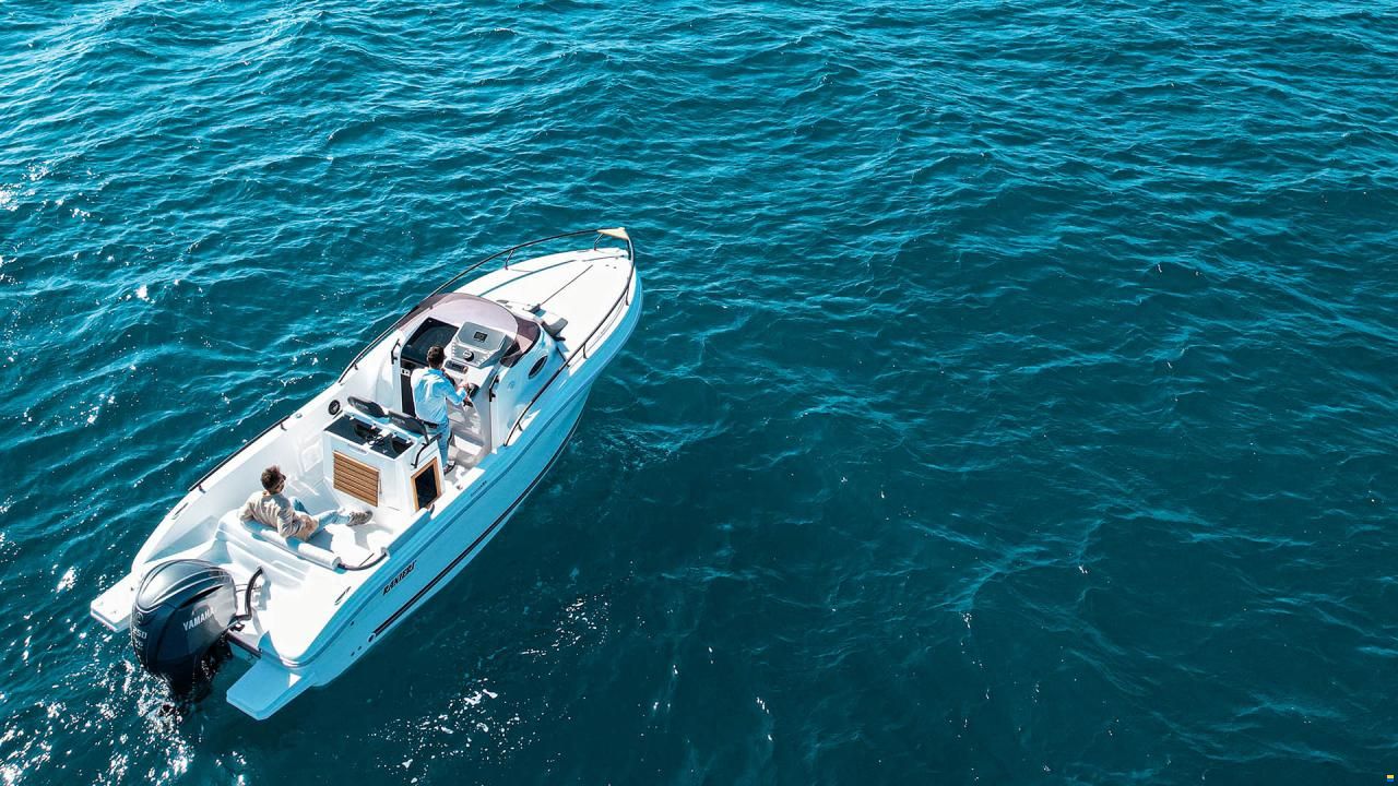 Ranieri Boat sauvage 24