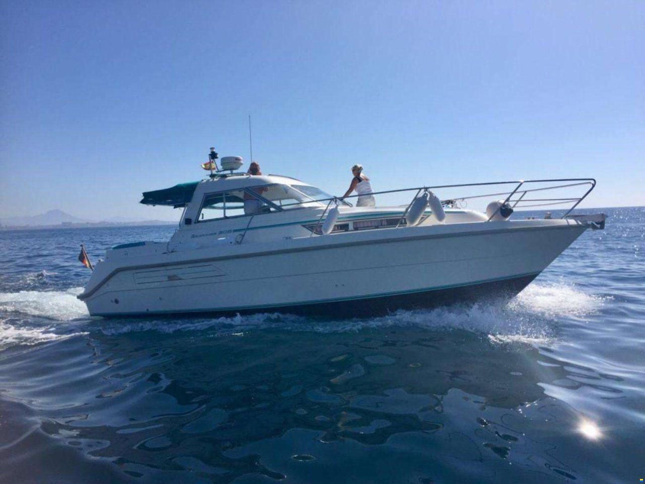 Hardy Seawings 305