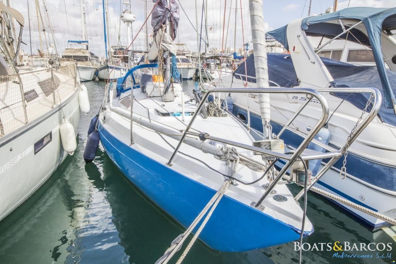 Bostrom B31