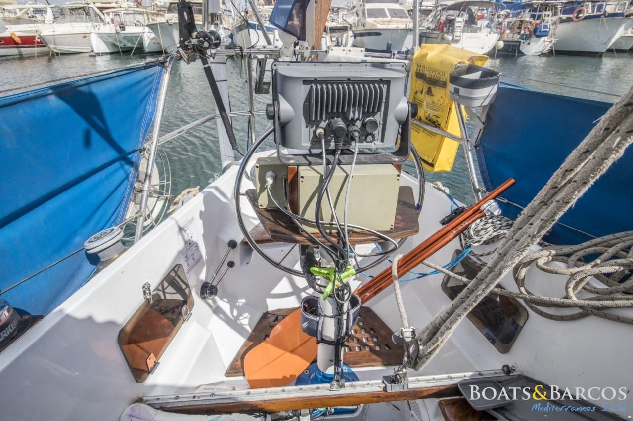 Bostrom B31