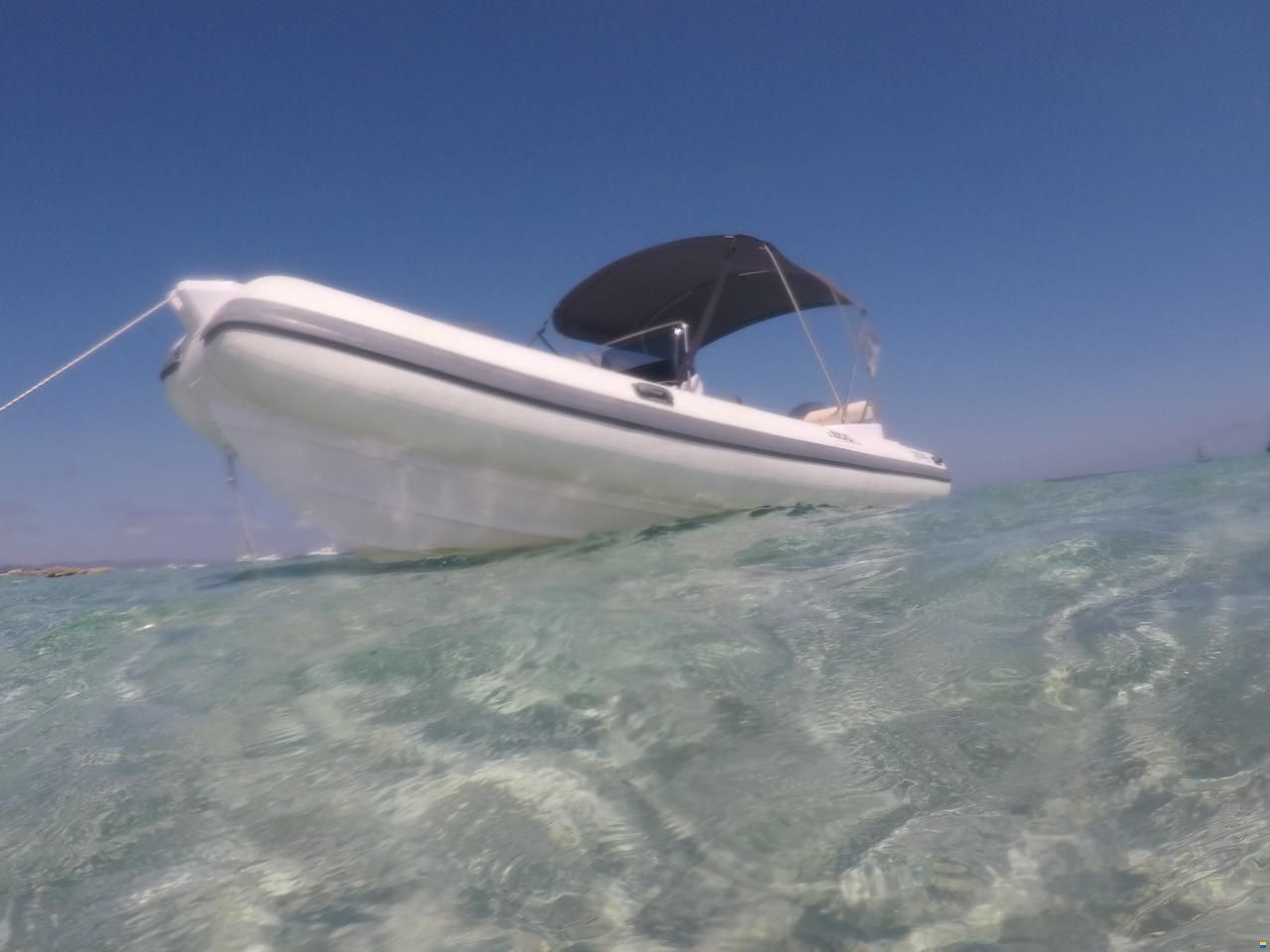 Selva 600