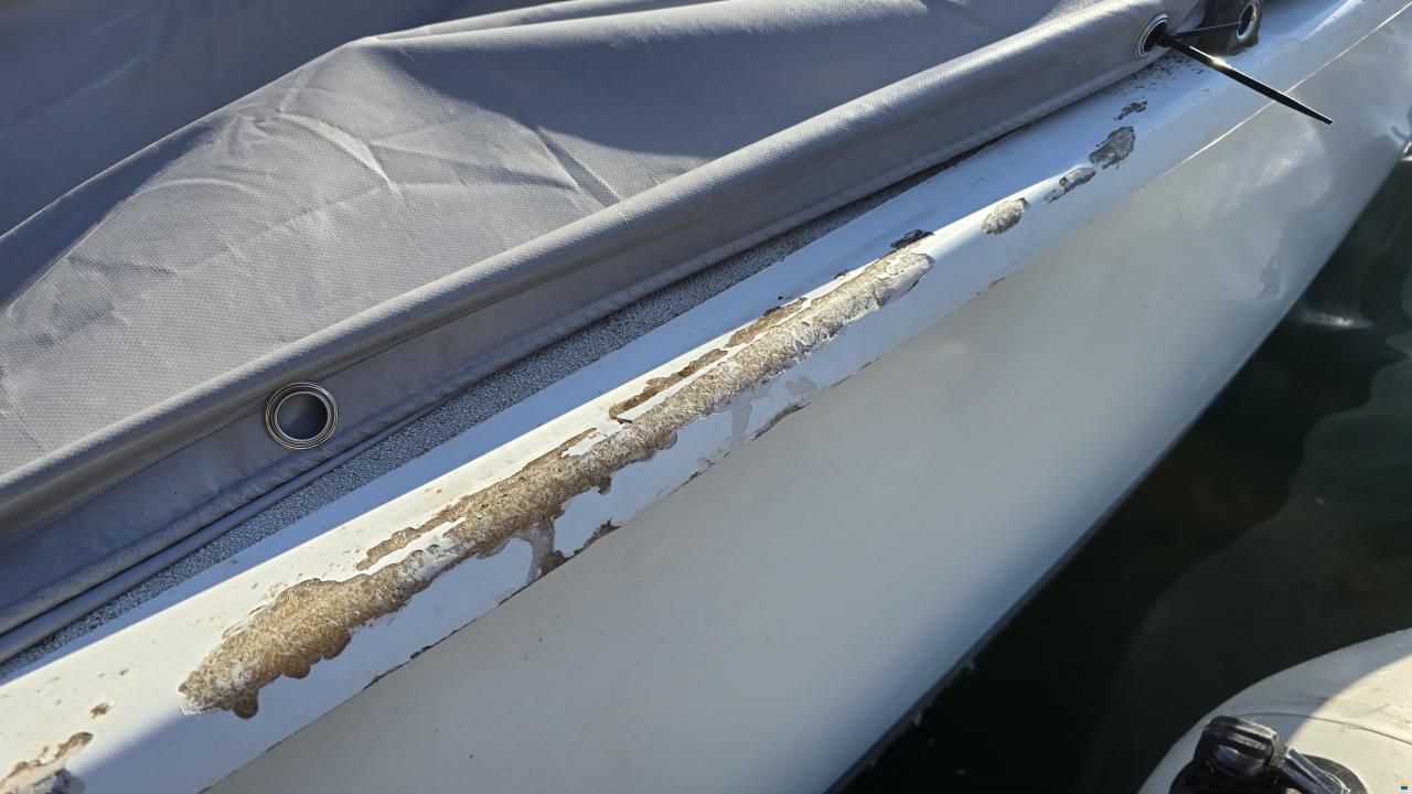 Precision schnelles sportliches Segelschiff