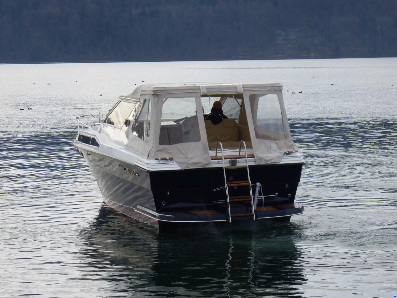 Draco 2900 Star