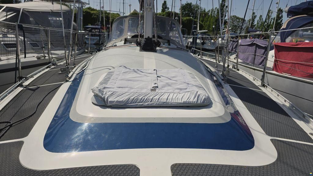 Dynamic 37