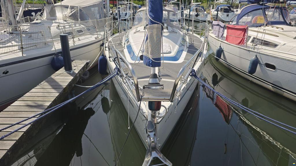 Dynamic 37