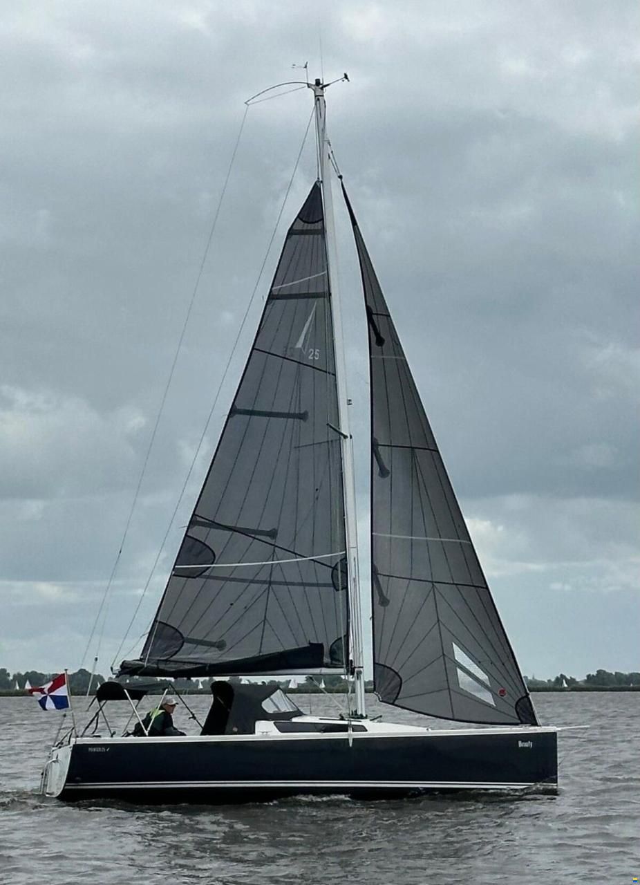 Pointer 25