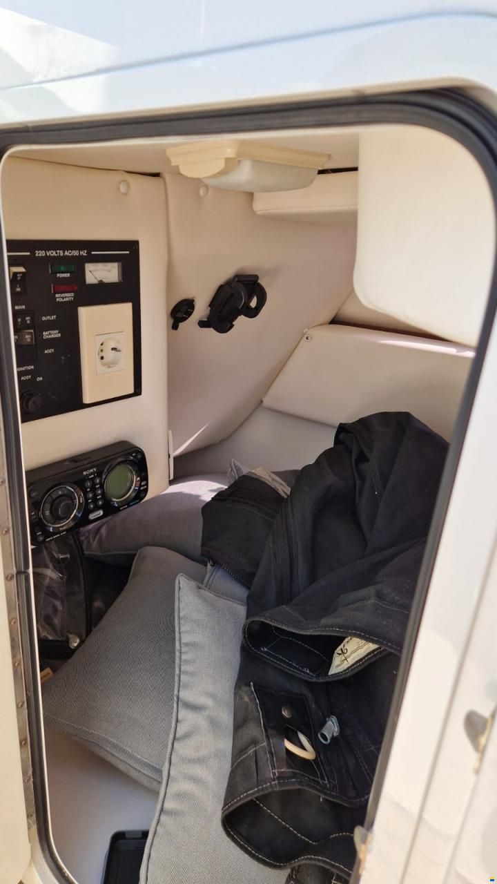 Sea Ray 300 Sundeck