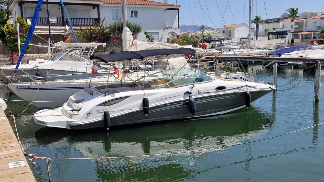 Sea Ray 300 Sundeck
