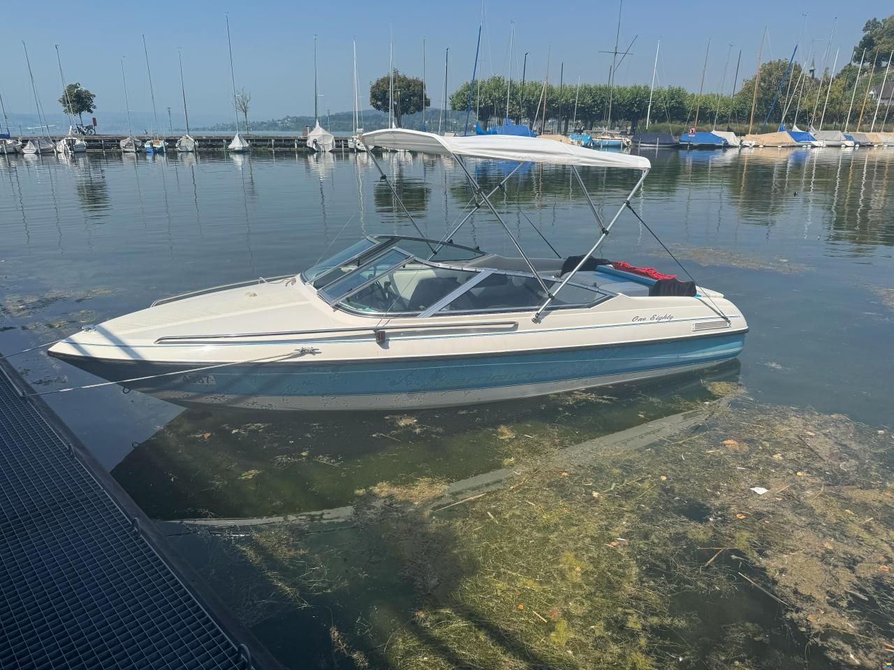 Campion Allante 18 CD