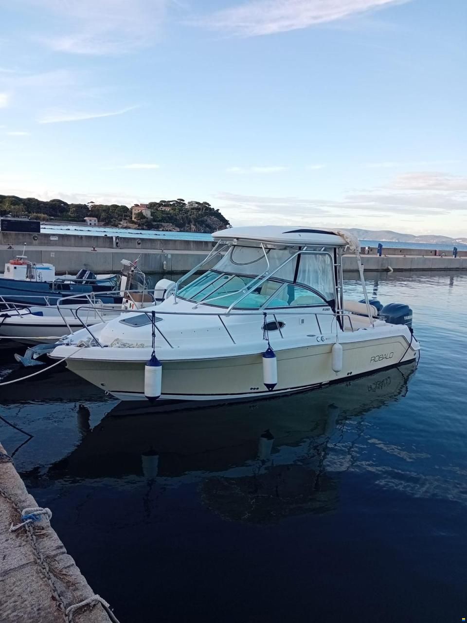 Robalo R265