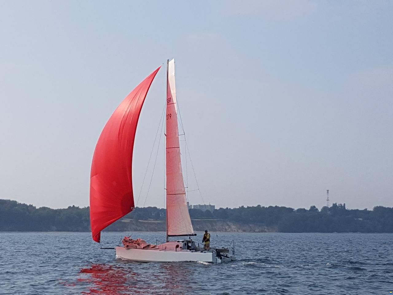 Harp8