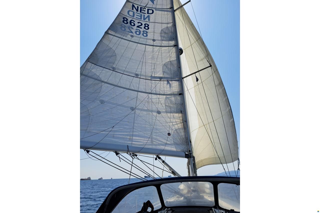 Bavaria 41