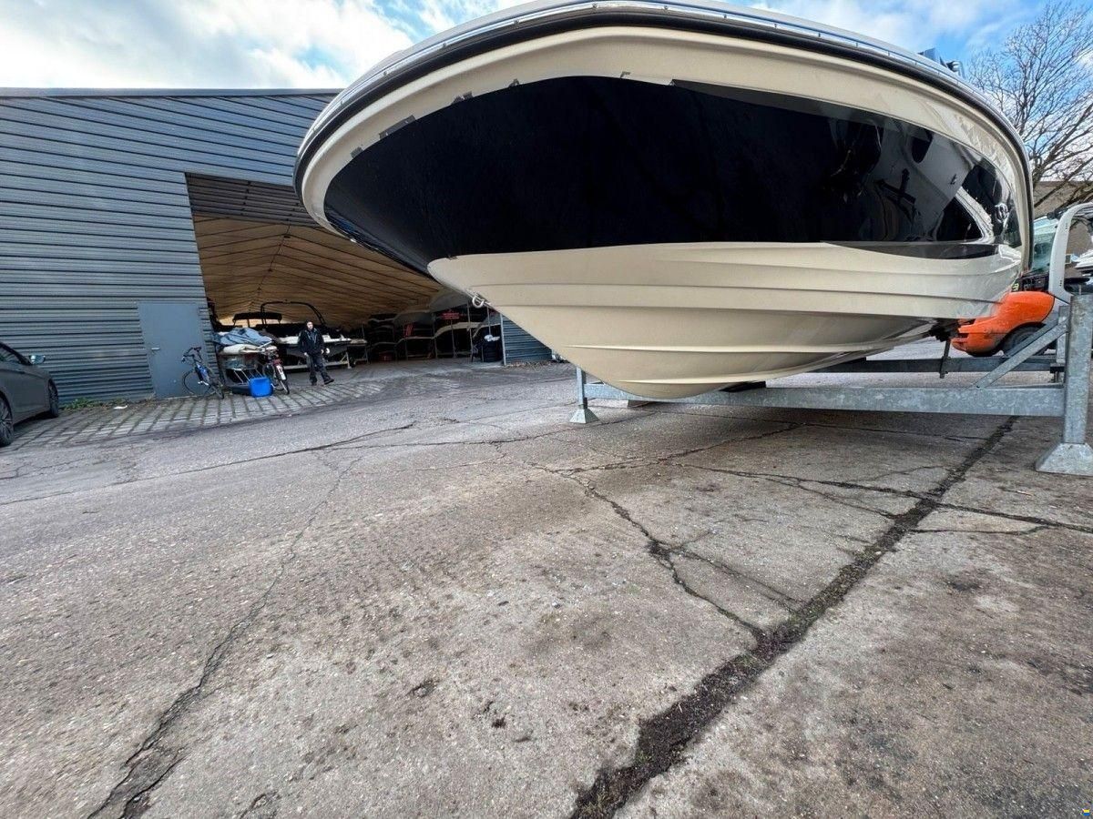 Sea Ray 190 SPO
