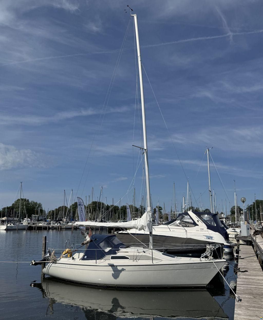 Dehler 22 Top