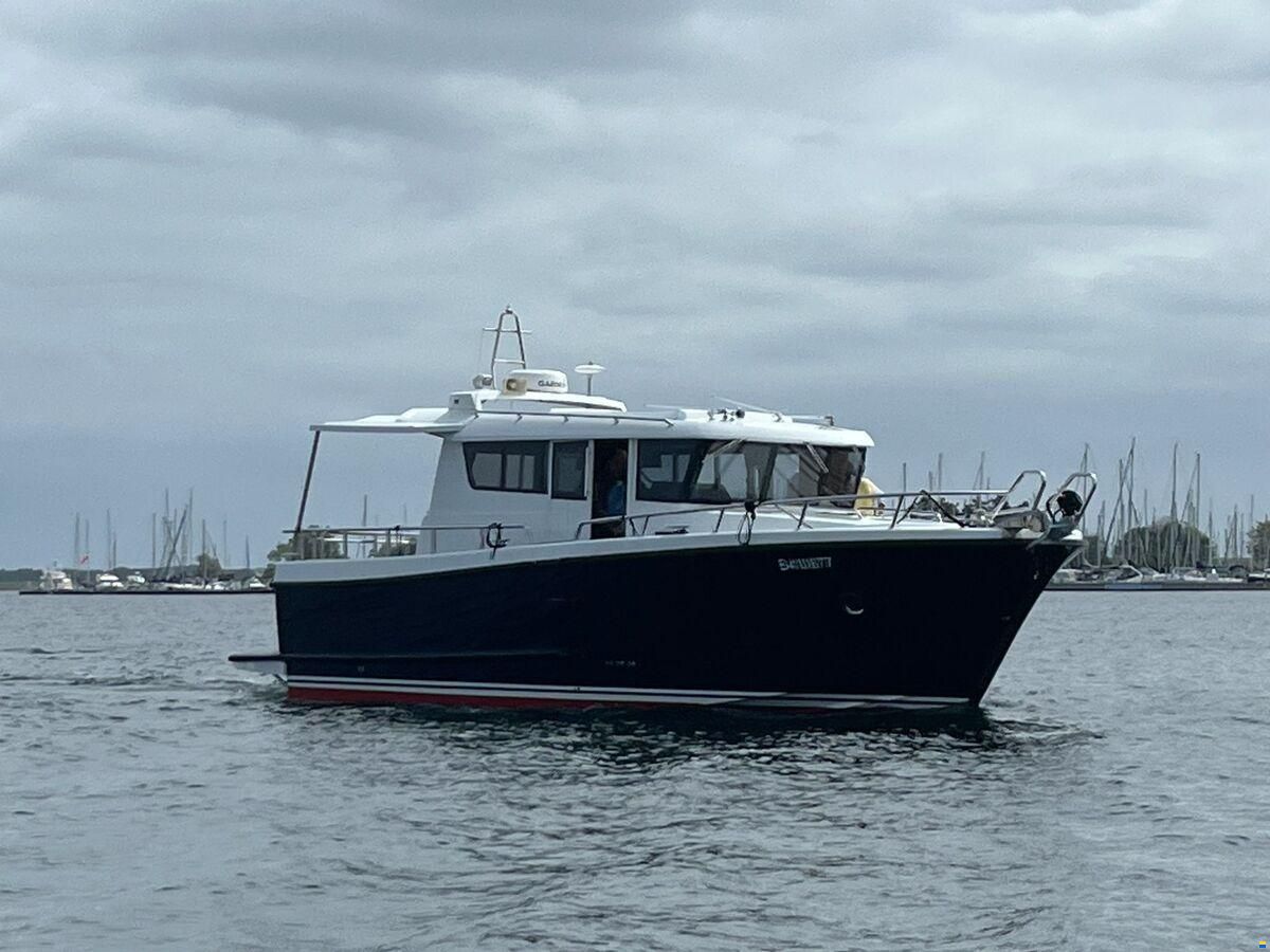 Sargo 36