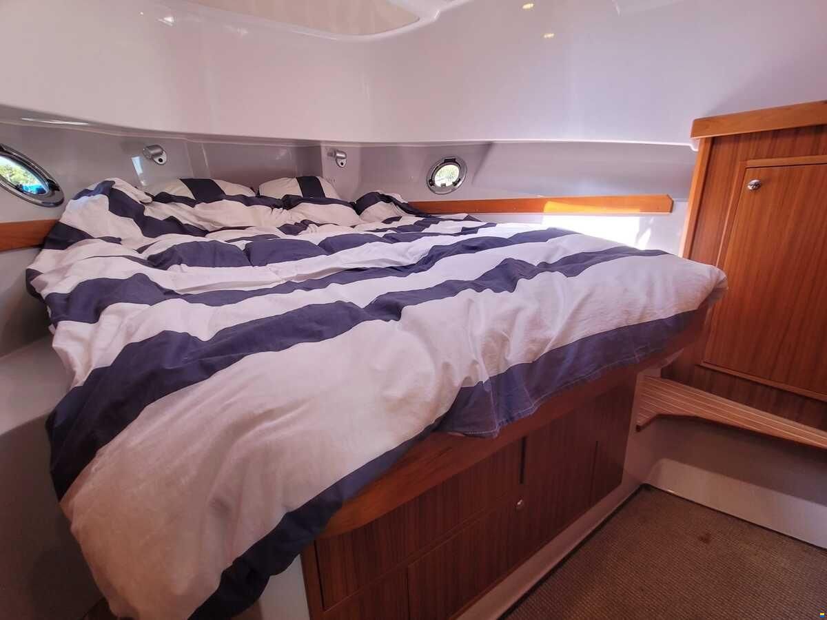 Sargo 36