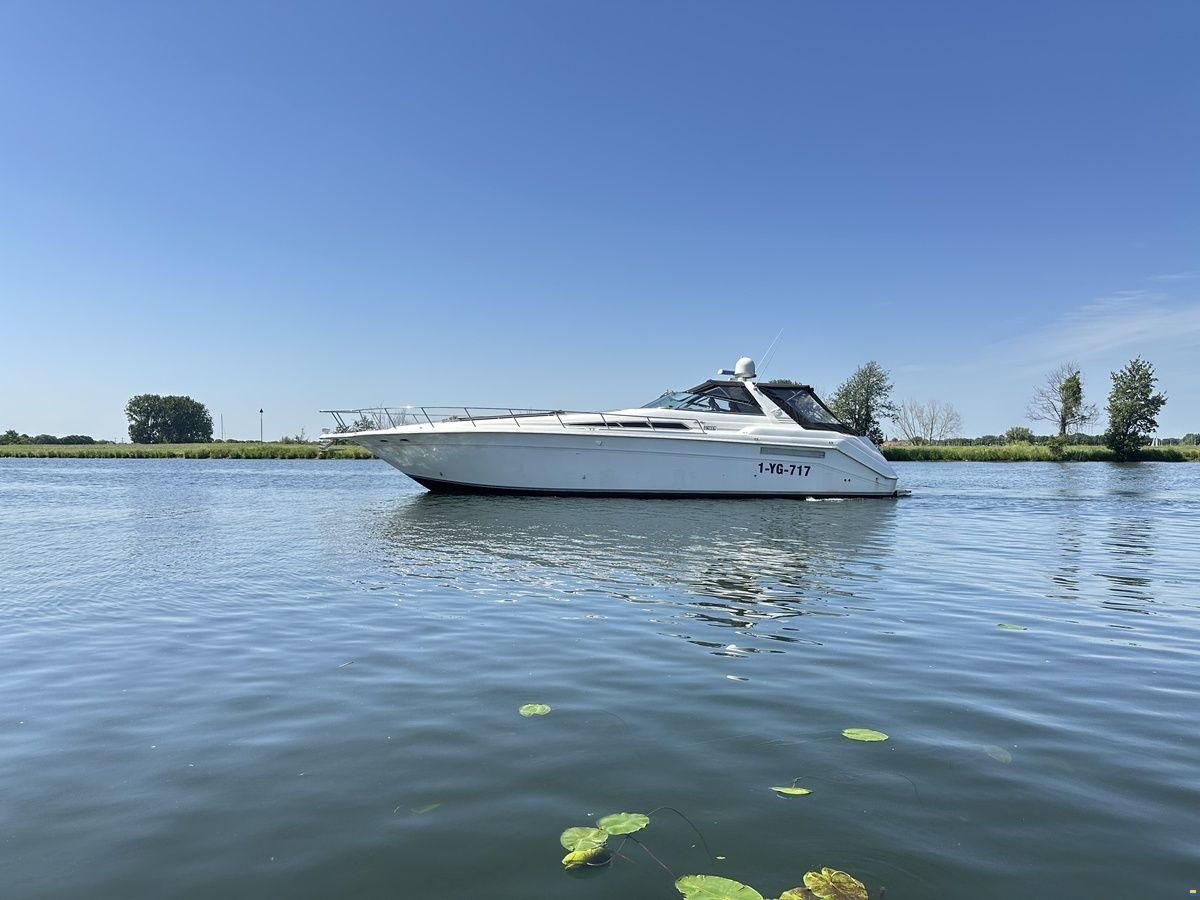 Sea Ray 500