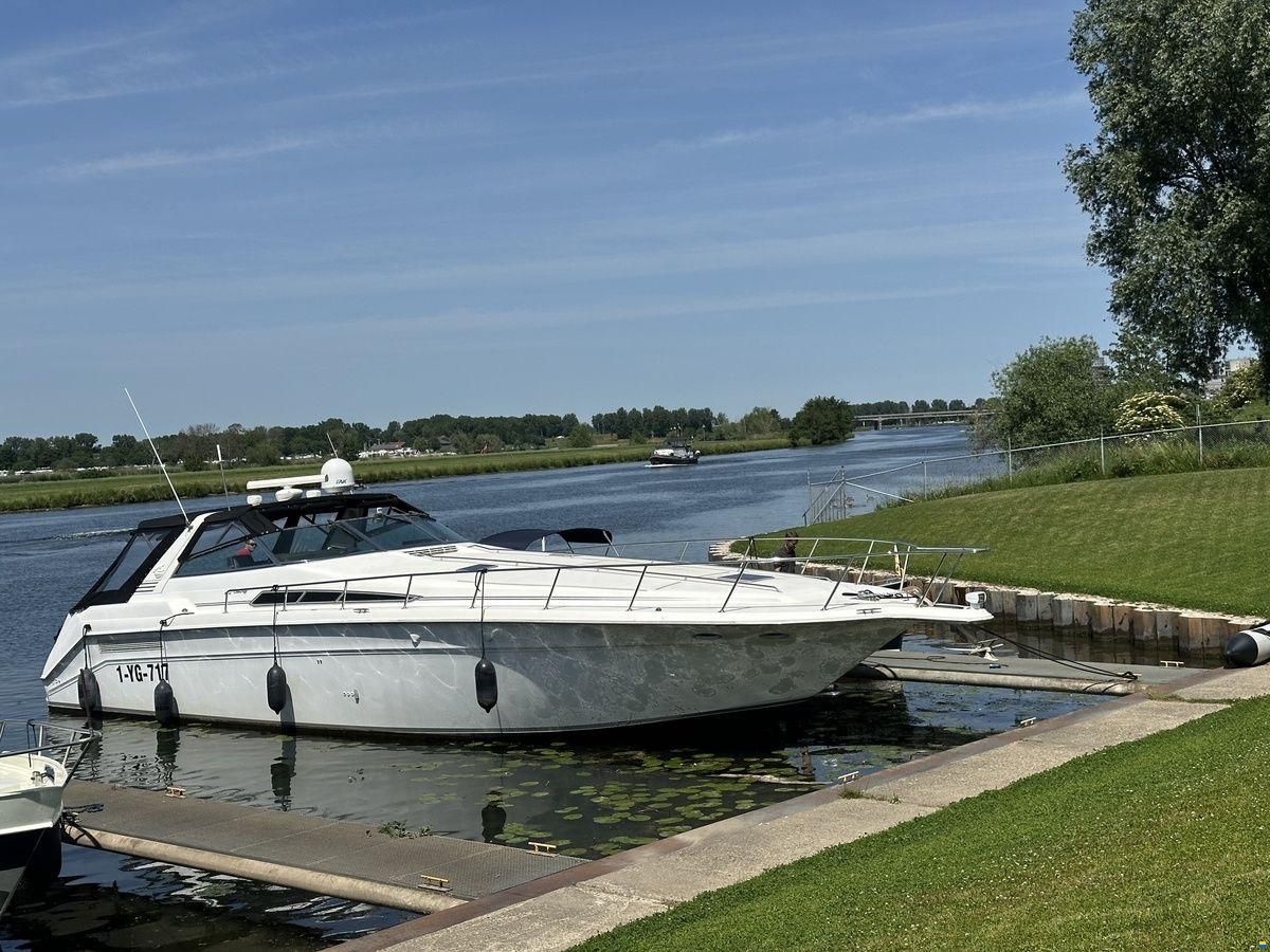 Sea Ray 500