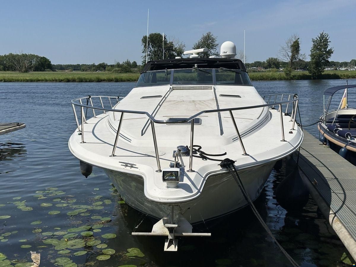 Sea Ray 500