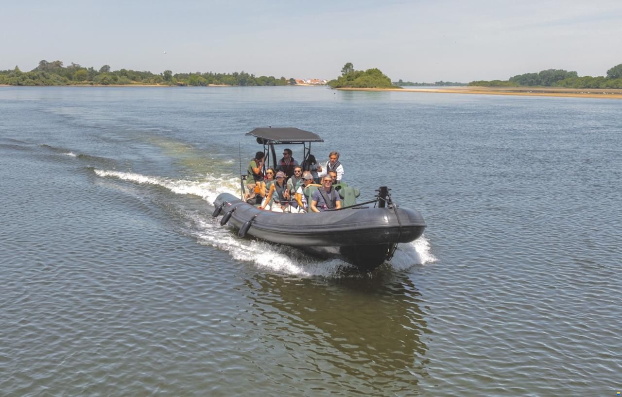 Hydrosport 909
