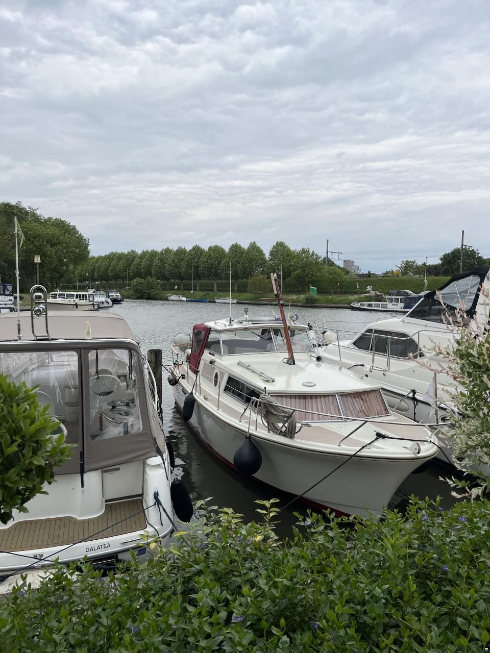 Amerglass 32