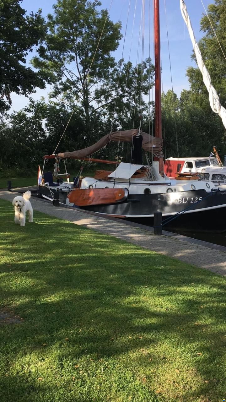 Zeeschouw 9.20