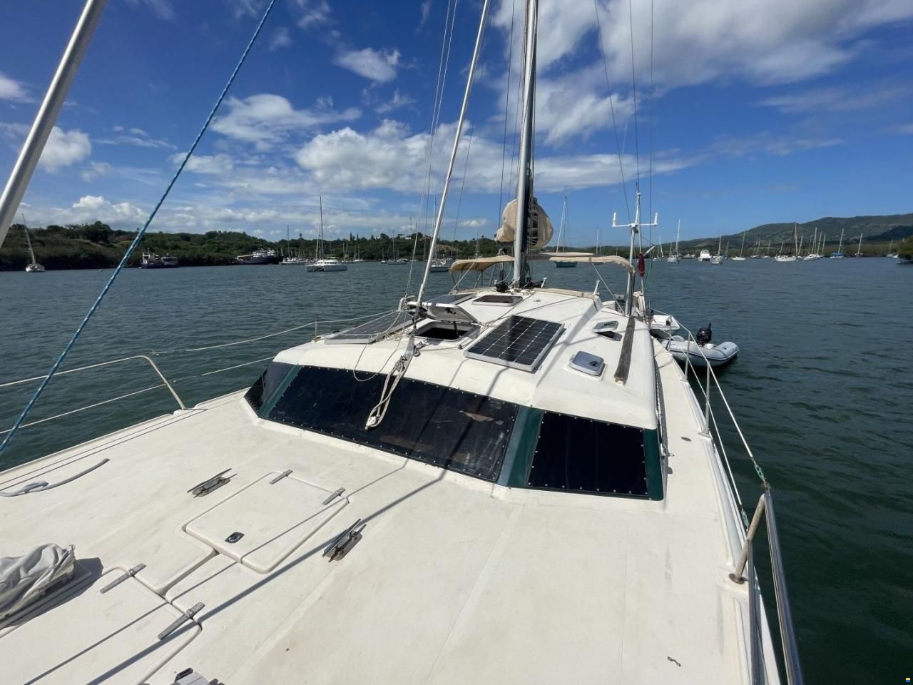 Prout 37 Snowgoose