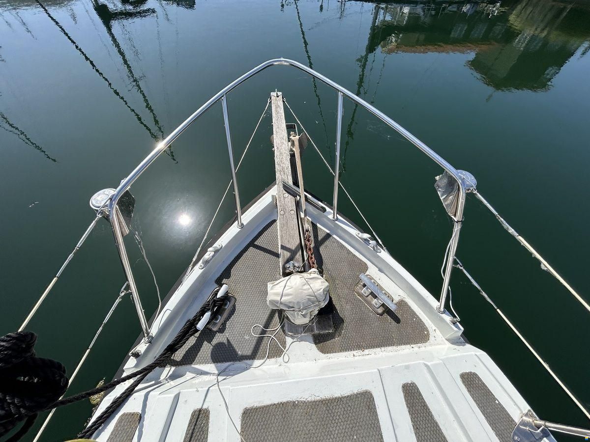 Rogger FD2