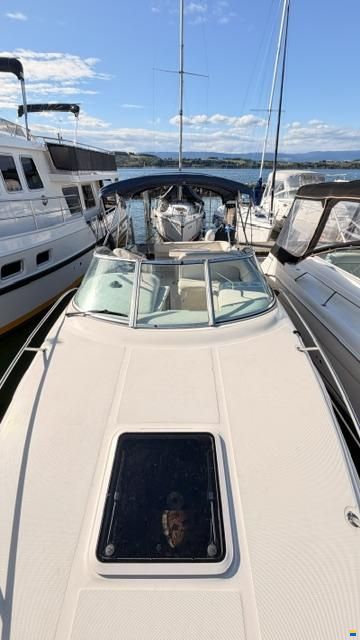 Sea Ray 240 DA