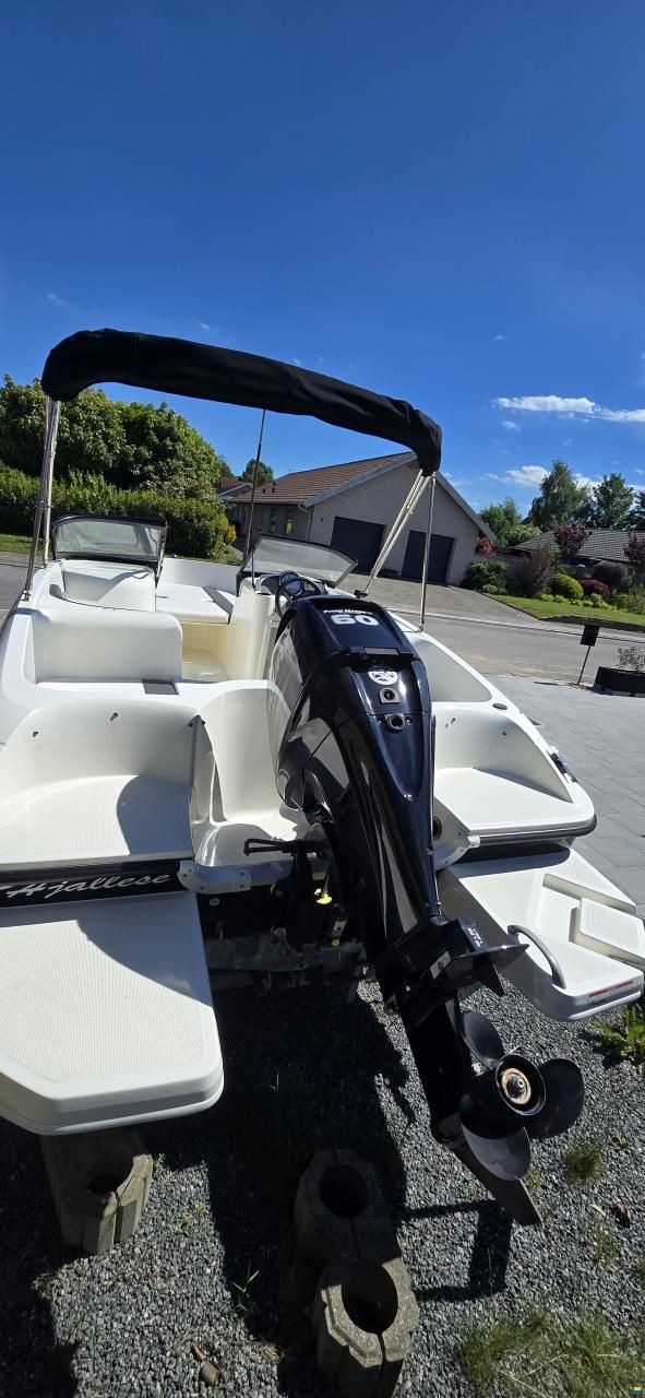 Bayliner Element e5
